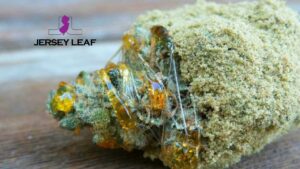 Jersey-Leaf-Blog-Q1,-2025_January_blog-3